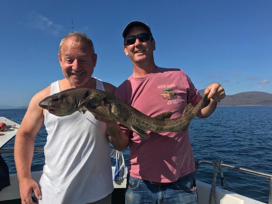 101974230 690574711784882 2157281821170450808 n orig