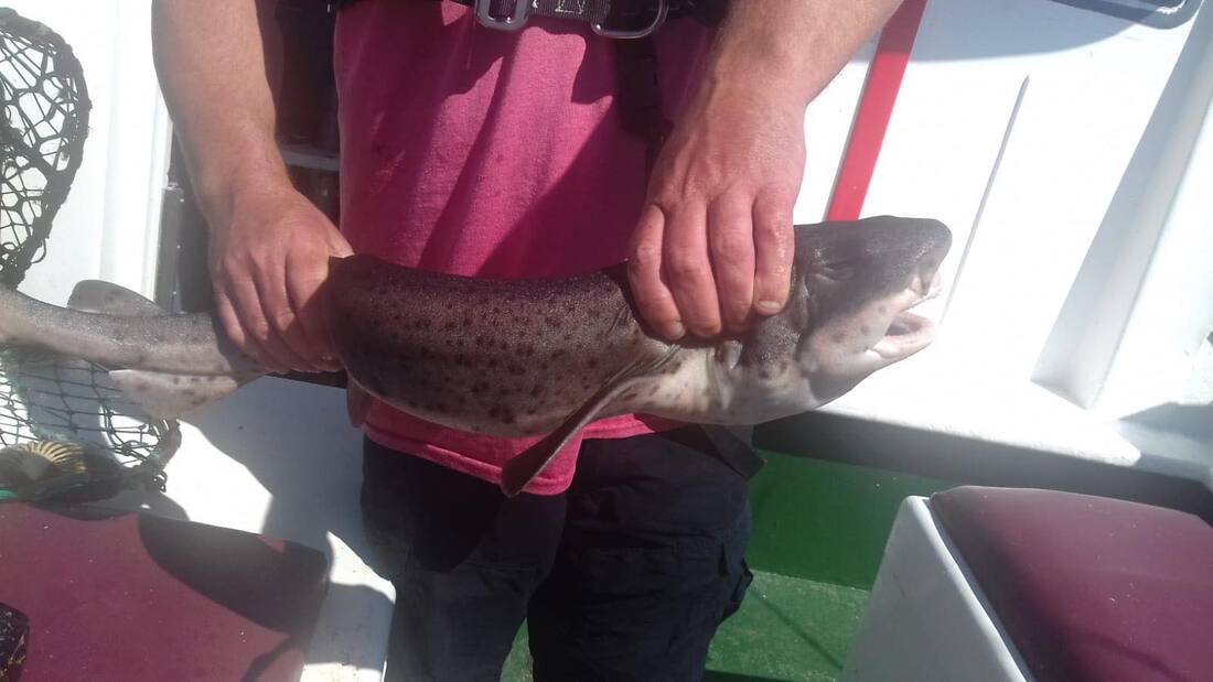 117271790 756213975191616 1381649806133370932 n orig