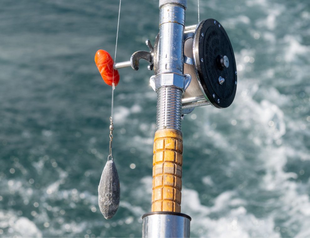 fishing 10