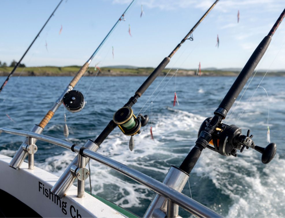 fishing 11