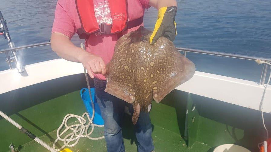 103148271 3846541482086996 412400315706249853 n orig