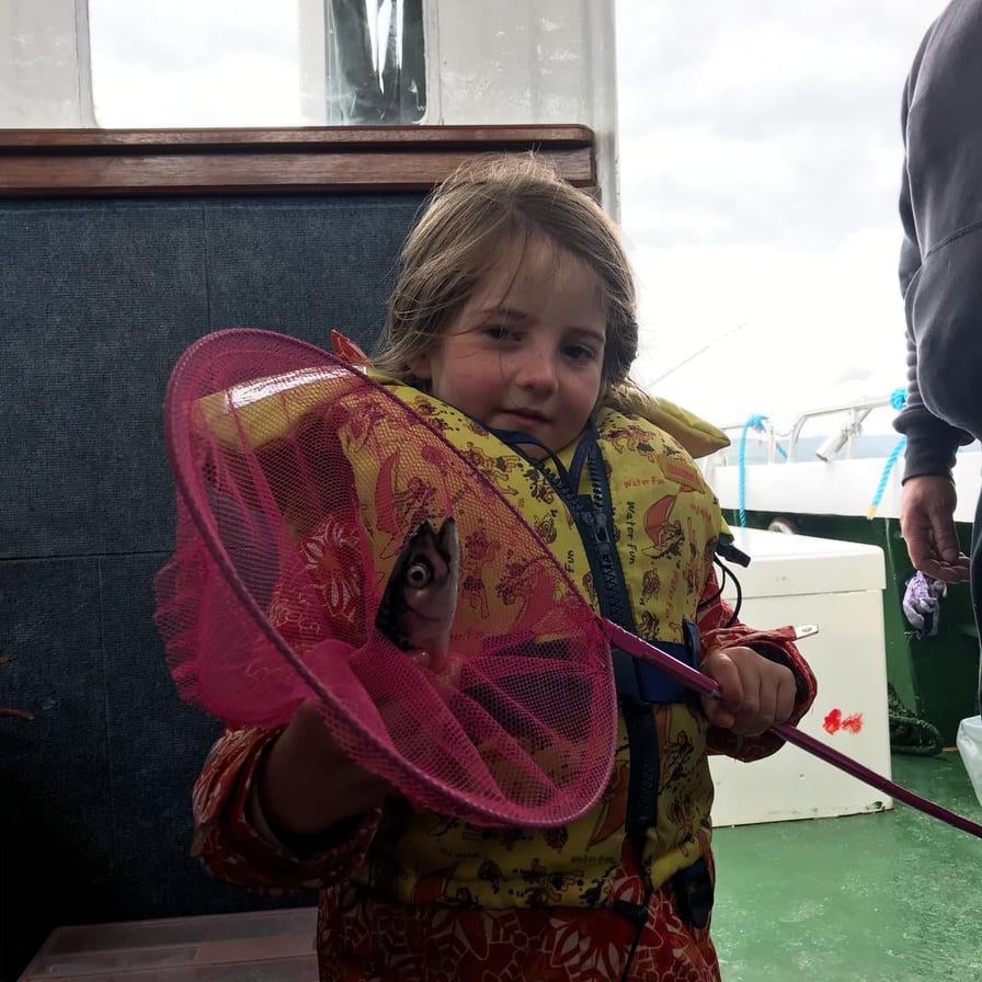 103901072 252867362799245 2343032977427283914 n orig