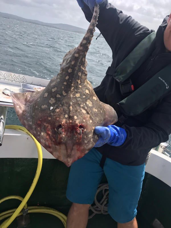 106569848 2795924980635810 6886608040124753420 n orig