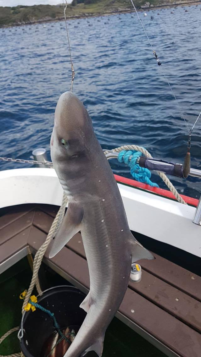 115881800 323642919045890 855174896584906544 n orig