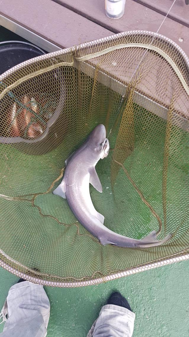 116060171 829735507557006 5803825971991727775 n orig