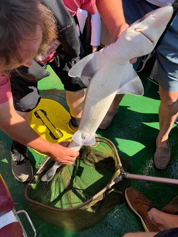 117331497 332372374584952 65427703862470136 n orig