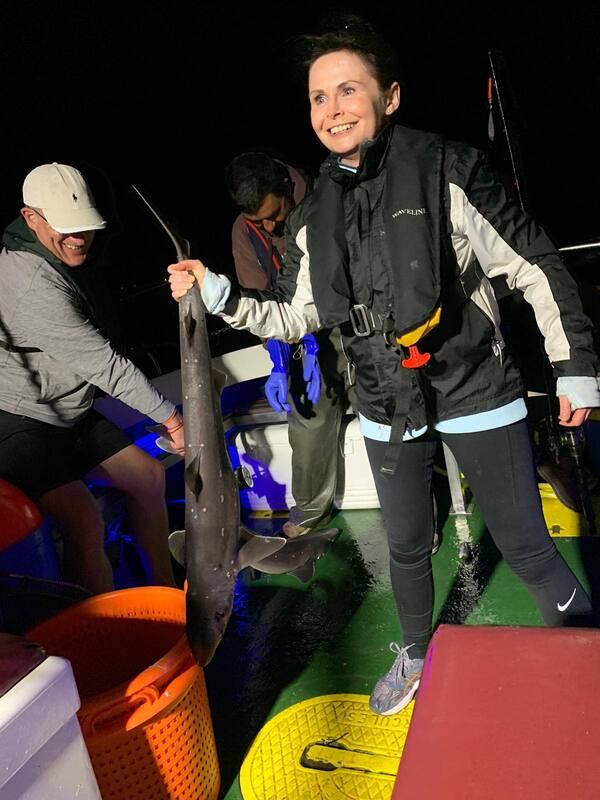 117644384 627965044496016 1956652618937057494 n orig