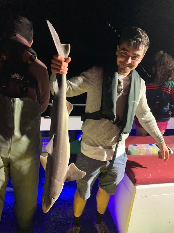 117708456 1334083183649681 3040008506443584577 n orig