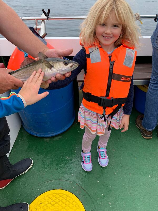 118032812 1230307950637775 5520004624796609876 n orig