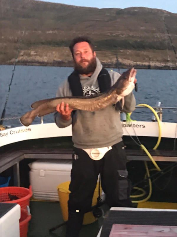 118306885 322624462319160 983122851498276819 n orig