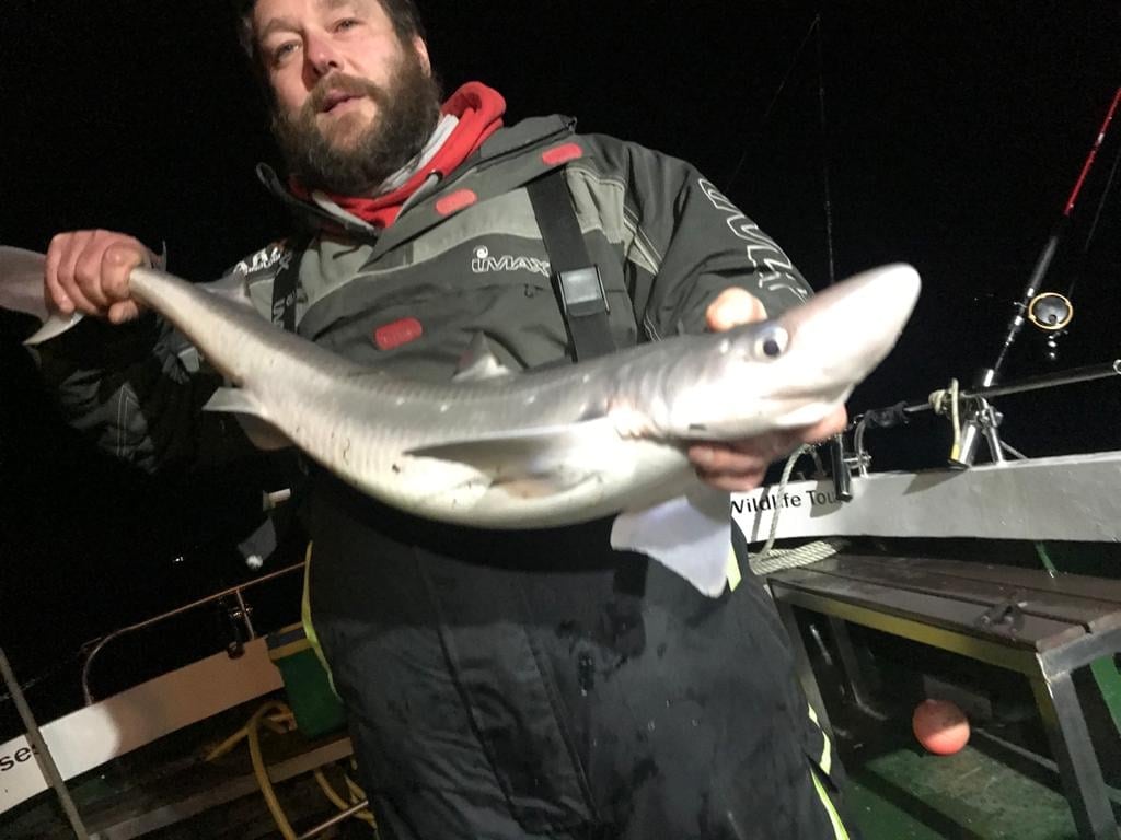 155115583 175613070786391 4588041931727258880 n orig