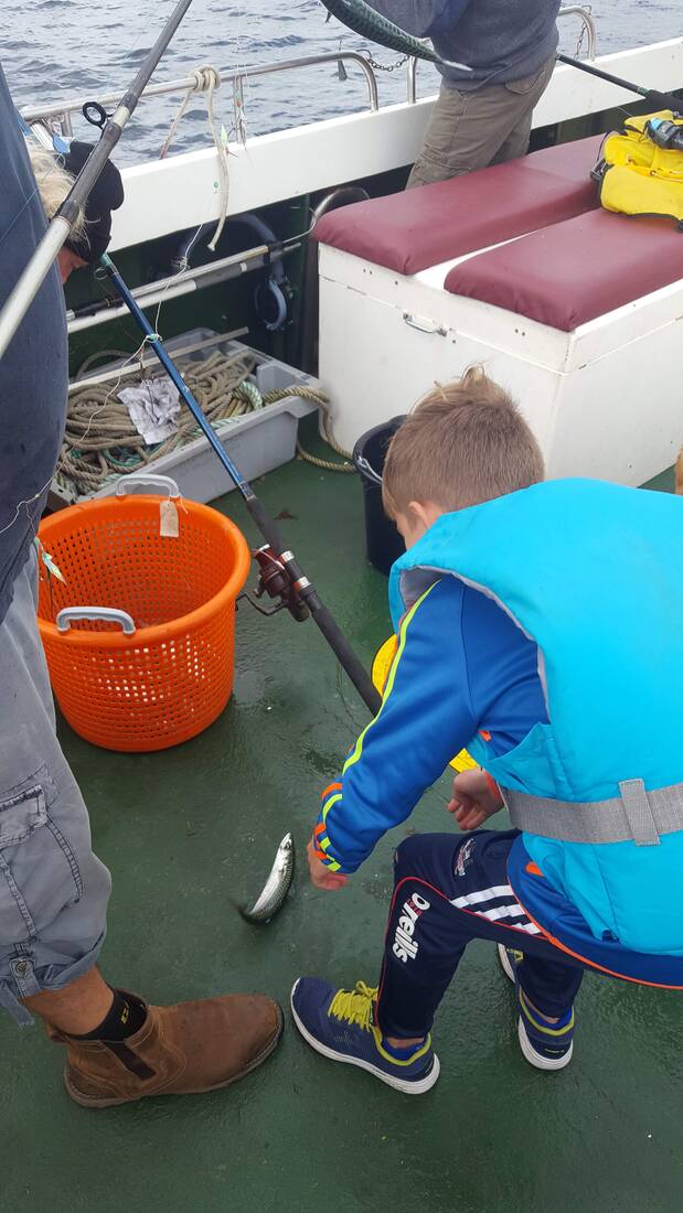 20190823 125956 orig