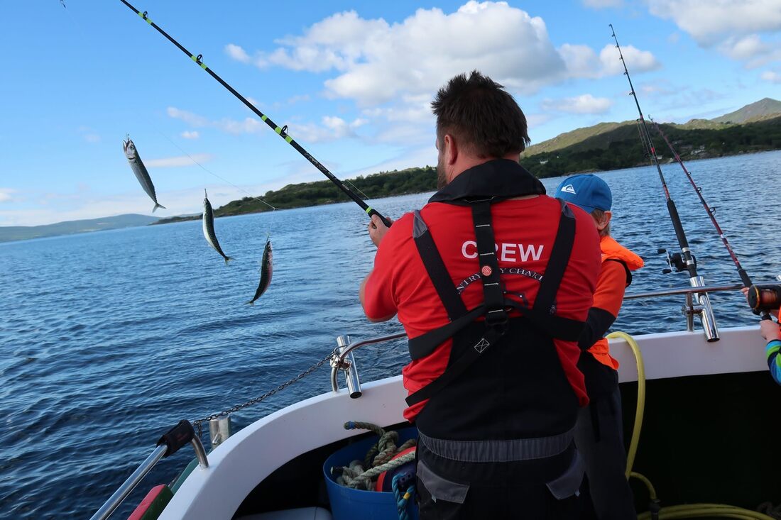 20200702111854 img 1407 orig