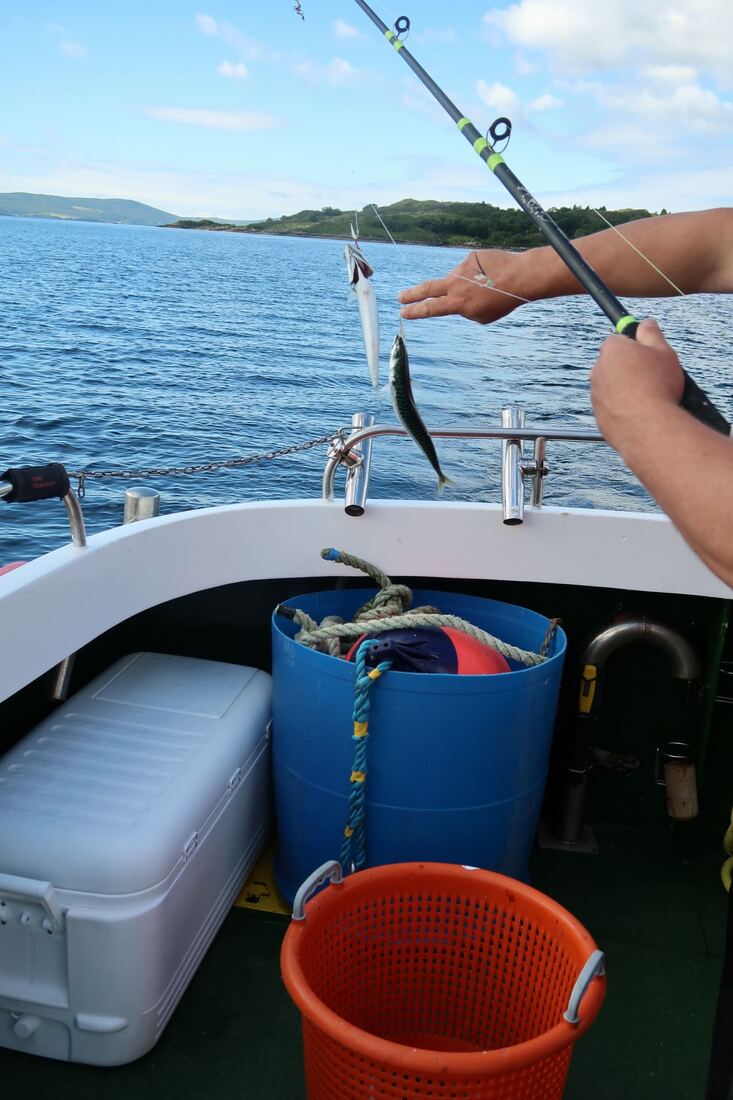 20200702111909 img 1410 orig