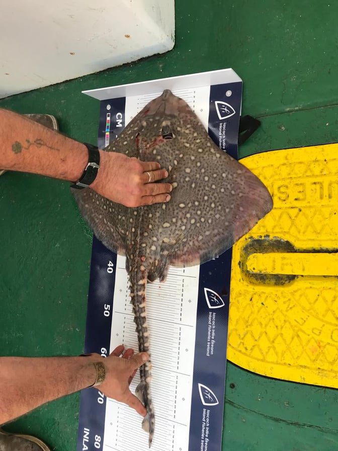 203303794 310659907375414 1752722846781909939 n orig